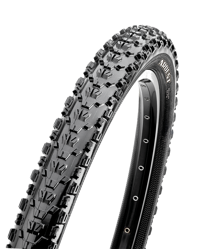 首页 - PP电子官方网站